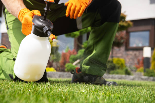 Best Residential Pest Control  in Beverly, NJ