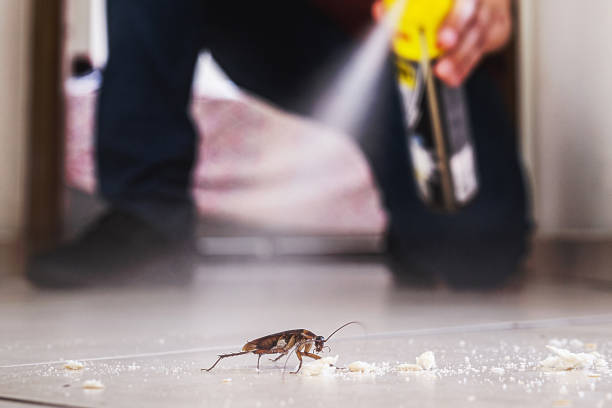 Best Best Pest Control Companies  in Beverly, NJ